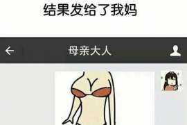 鄯善侦探取证：夫妻共有财产分割原则